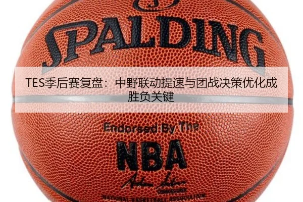 TES季后赛复盘:中野联动提速与团战决策优化成胜负关键